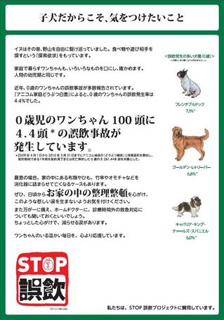stop_dog1.jpg